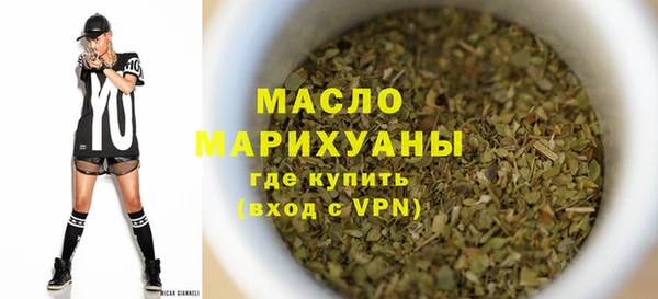 гидра Верхний Тагил