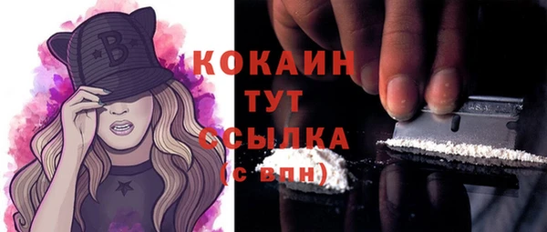 гидра Верхний Тагил