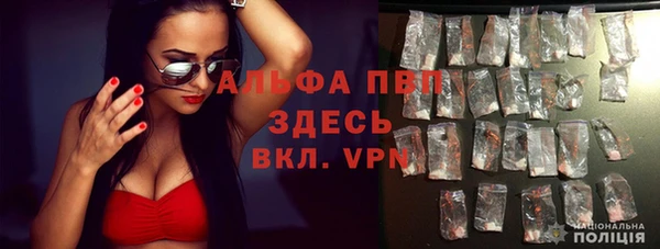 гидра Верхний Тагил