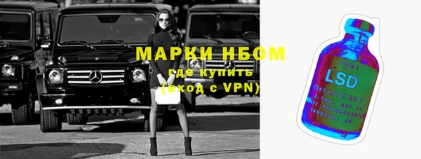 гидра Верхний Тагил