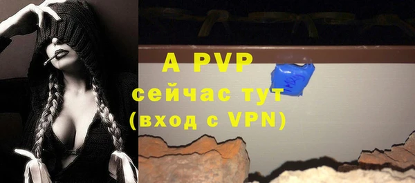 гидра Верхний Тагил