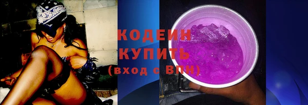 гидра Верхний Тагил