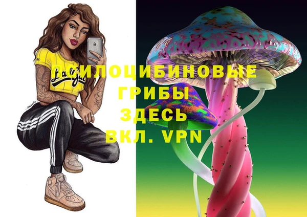 гидра Верхний Тагил