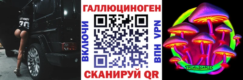 как найти закладки  Волхов  Галлюциногенные грибы Magic Shrooms 