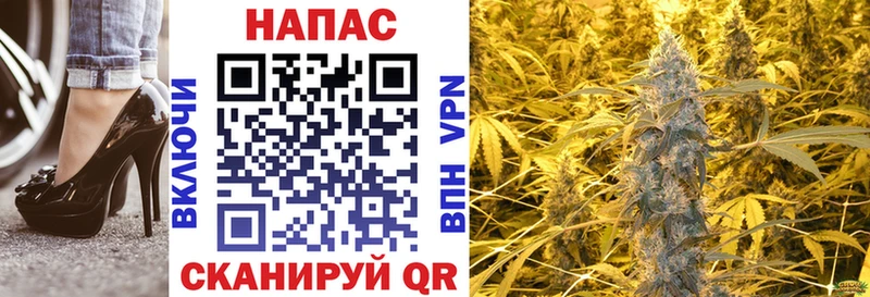 Конопля ГИДРОПОН  Волхов 